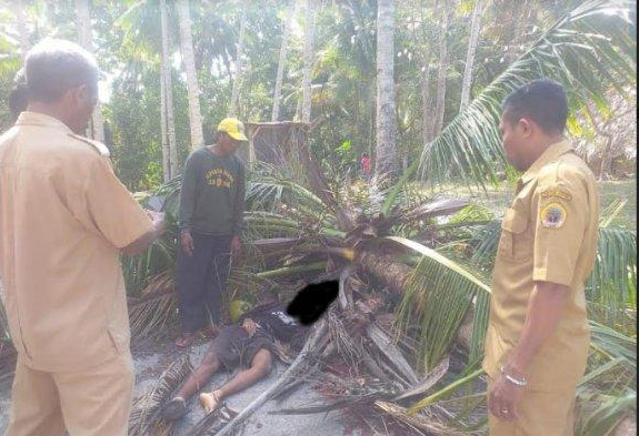 Gambar Berita
